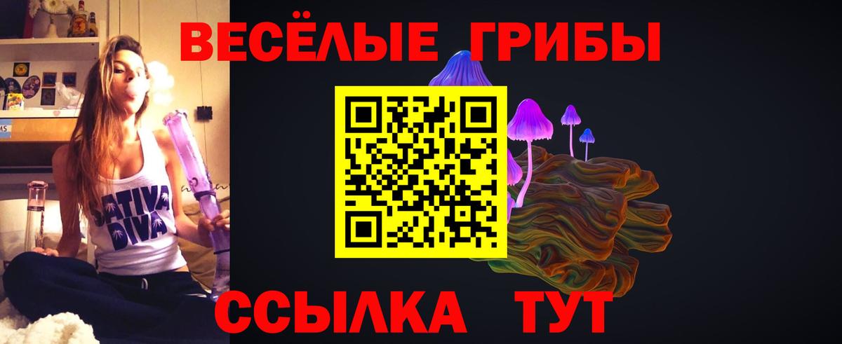 Псилоцибиновые грибы ЛСД  Вход с VPN  Зима 