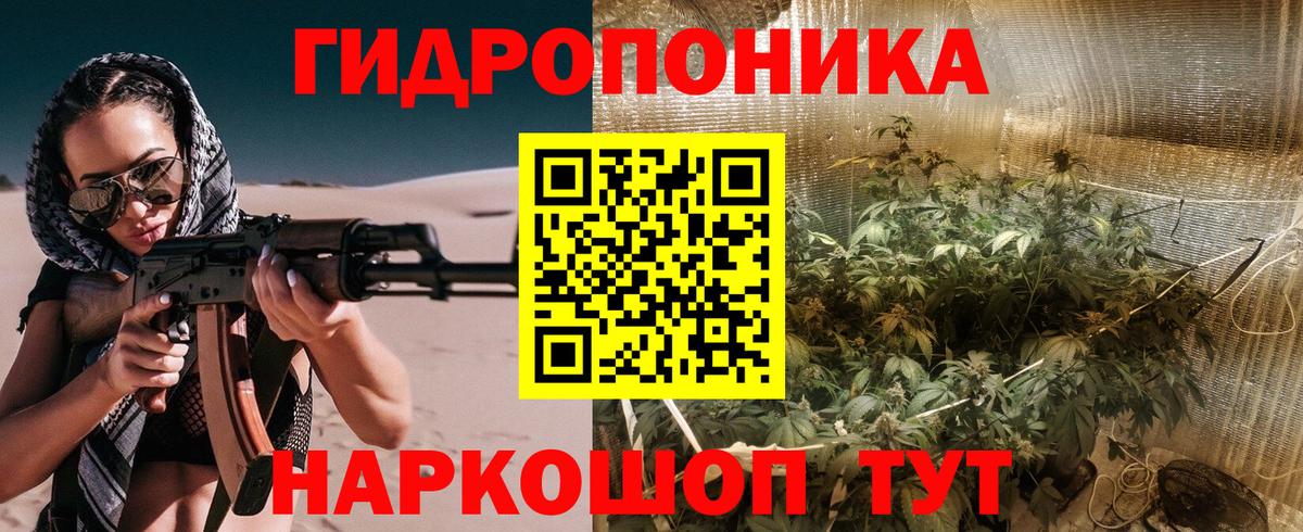 Шишки марихуана AK-47 Зима